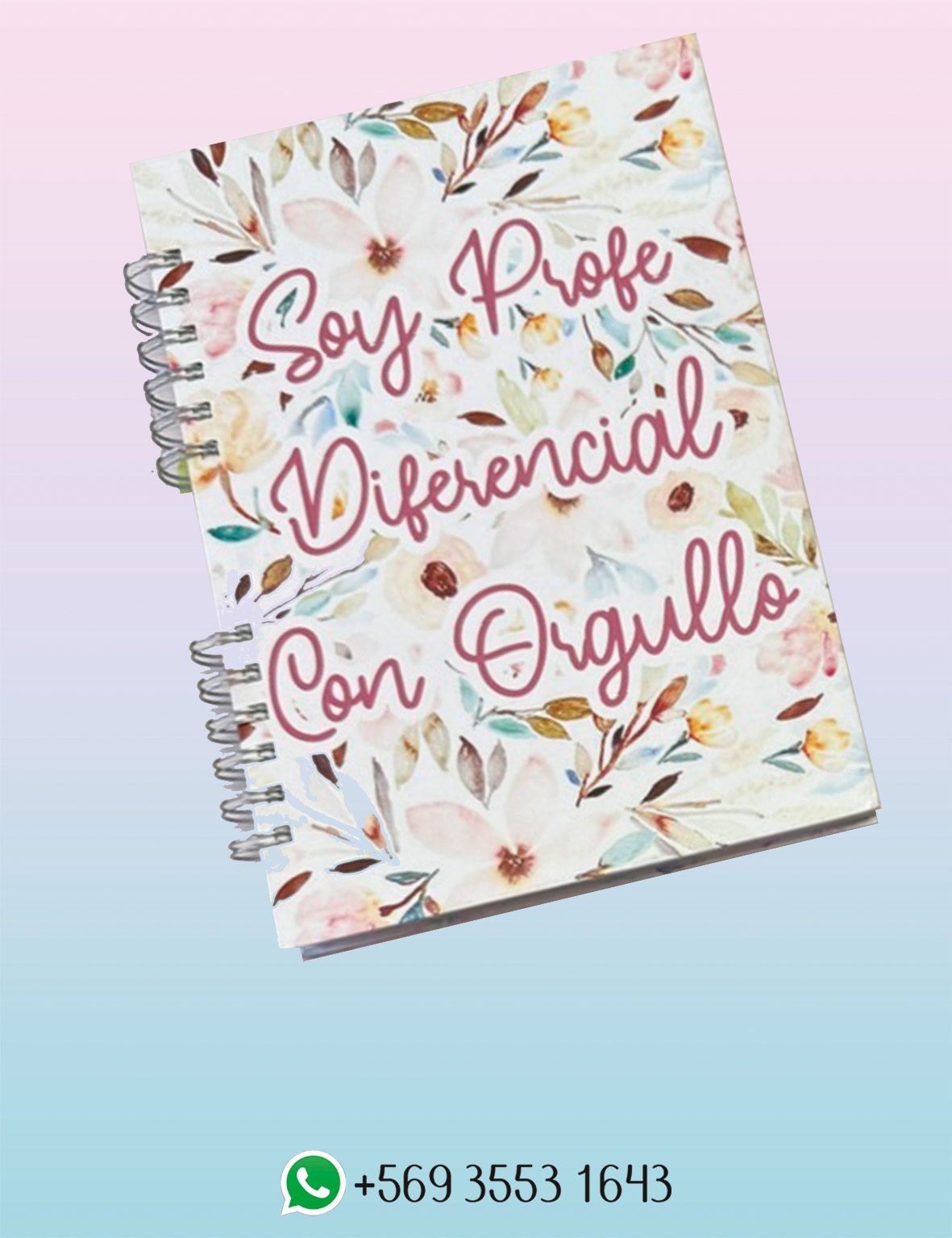 Agenda Docente - Profe Diferencial